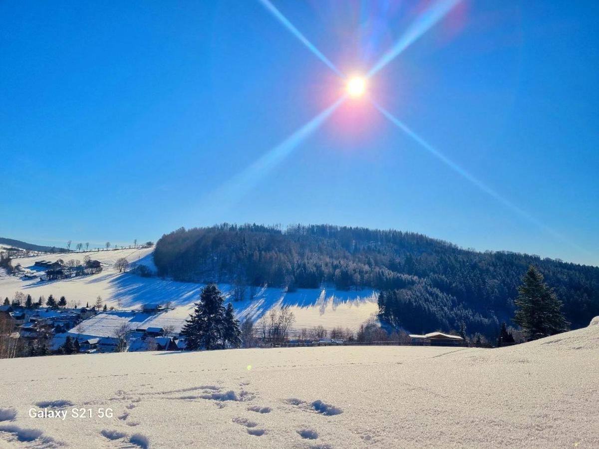 Ferienhaeuser Olbernhau Erzgebirge Dış mekan fotoğraf