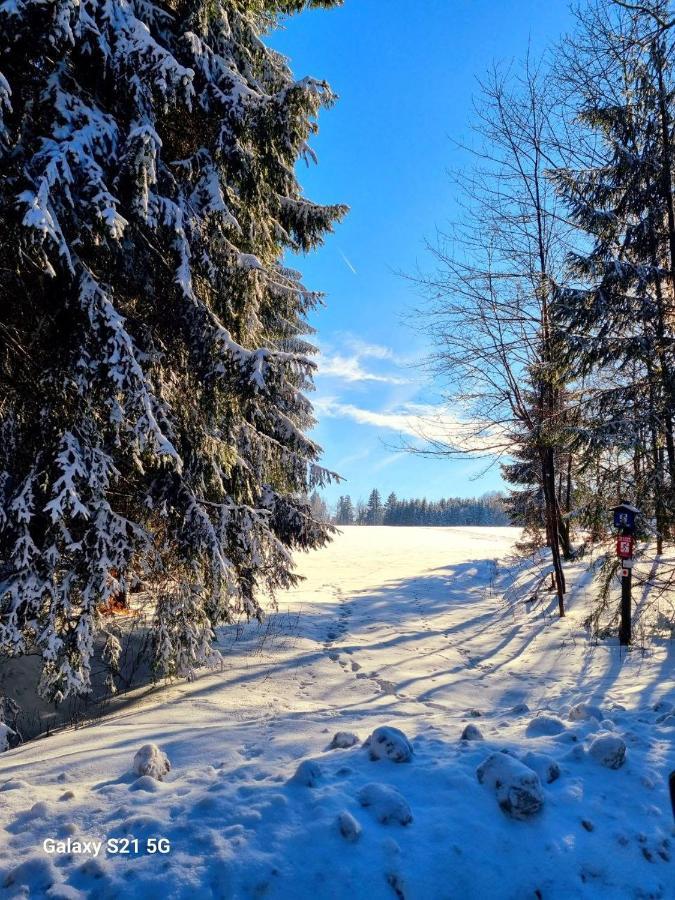 Ferienhaeuser Olbernhau Erzgebirge Dış mekan fotoğraf