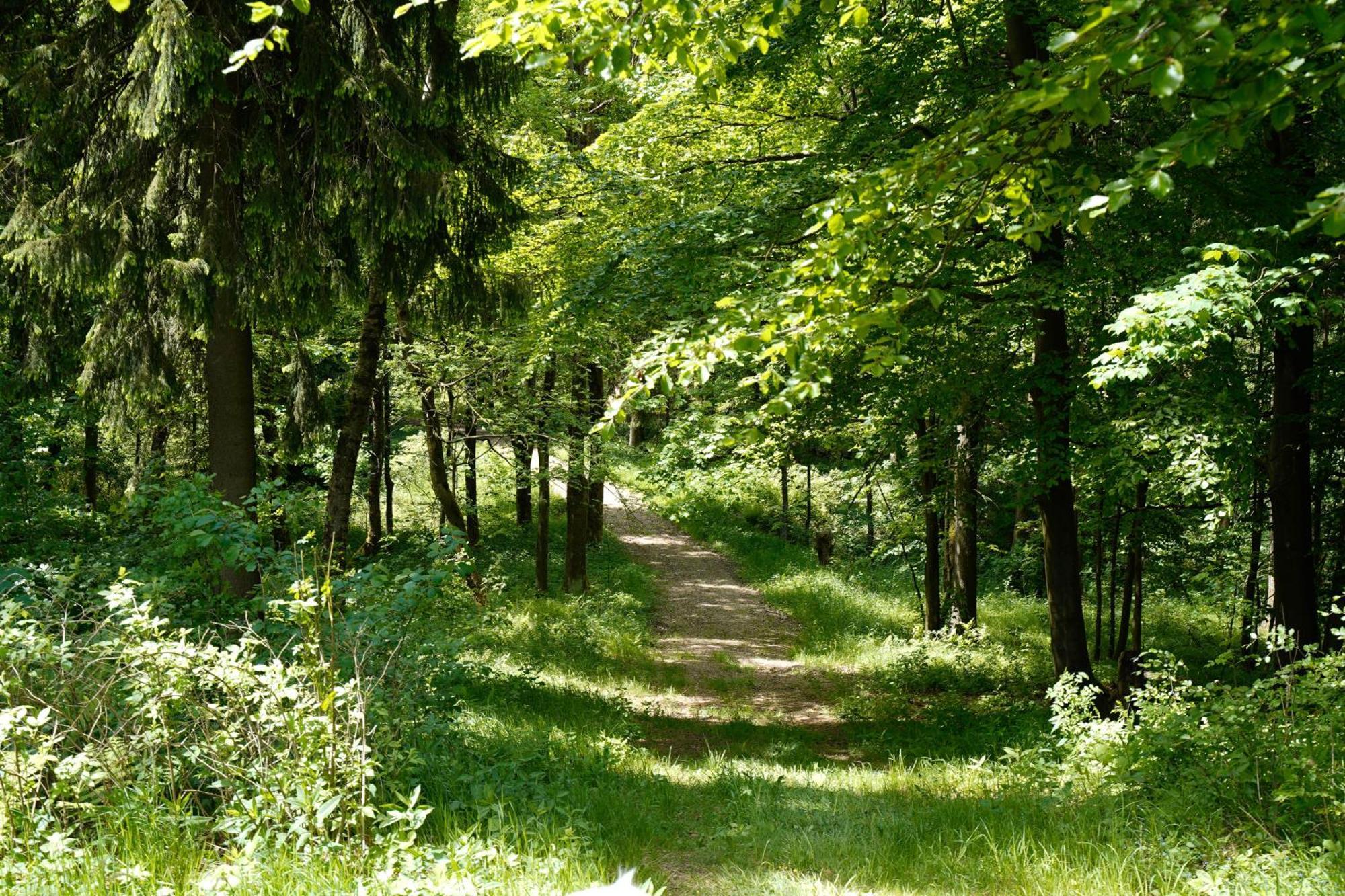Ferienhaeuser Olbernhau Erzgebirge Dış mekan fotoğraf